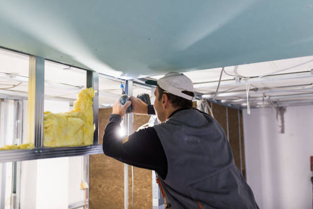 Best Insulation Installation Services in Mandeville, LA